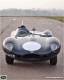 Auta - Jaguar D-Type 1954-1957 