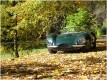 Auta - Jaguar XKSS 1957
