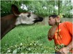 Nco o mn - s Okapi